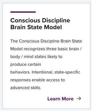 Brain 